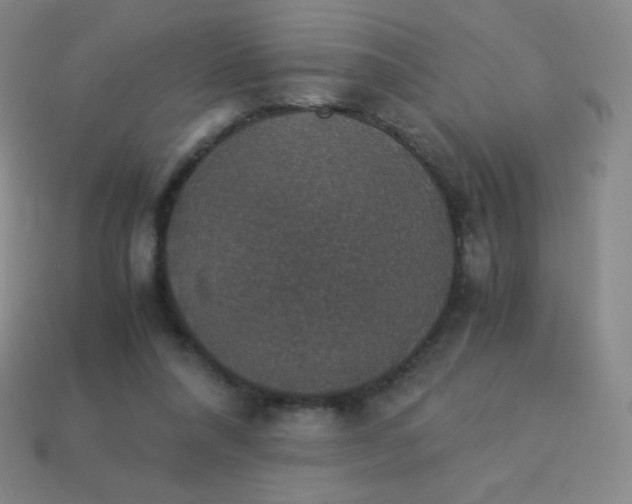 X0000113950304200910091614