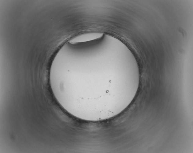 X0000113950305200910091614