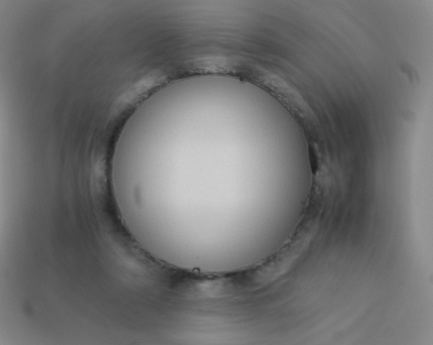 X0000113950306200910091614
