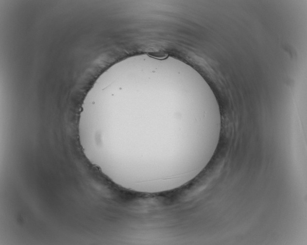X0000113950307200910091614
