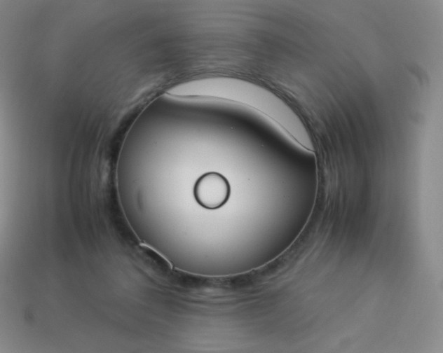 X0000113950308200910091614