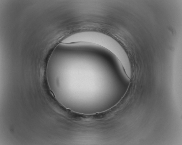 X0000113950309200910091614