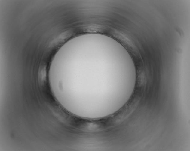 X0000113950310200910091614