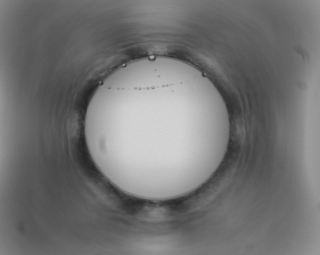 X0000113950311200910091614