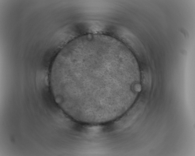 X0000113950313200910091614