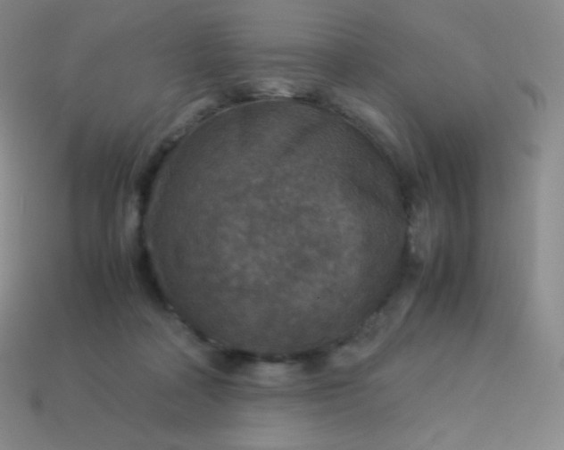 X0000113950314200910091614