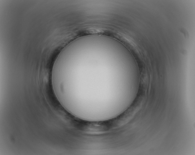 X0000113950315200910091614