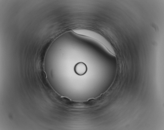 X0000113950316200910091614