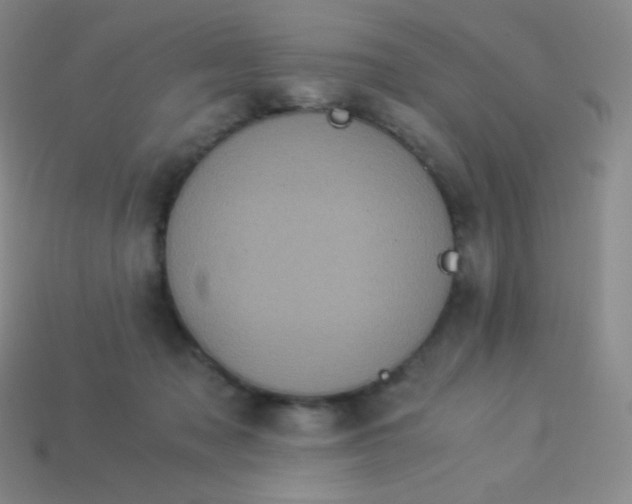 X0000113950317200910091614