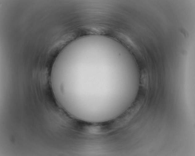 X0000113950318200910091614