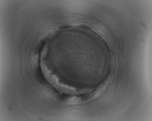 X0000113950319200910091614