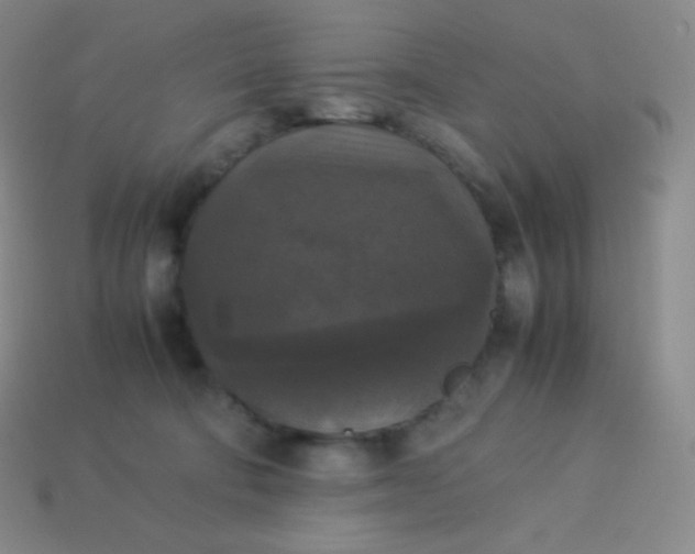 X0000113950322200910091614