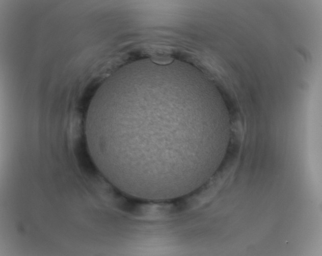 X0000113950323200910091614