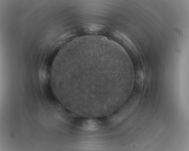 X0000113950324200910091614