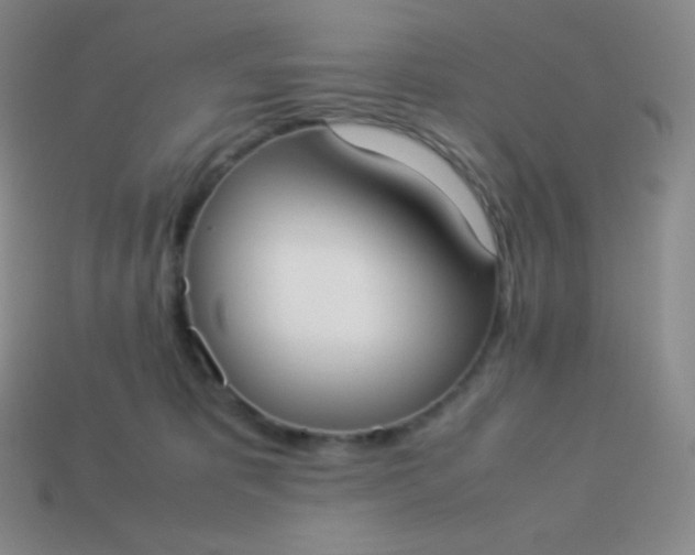X0000113950325200910091614