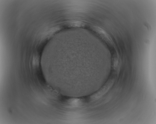 X0000113950326200910091614