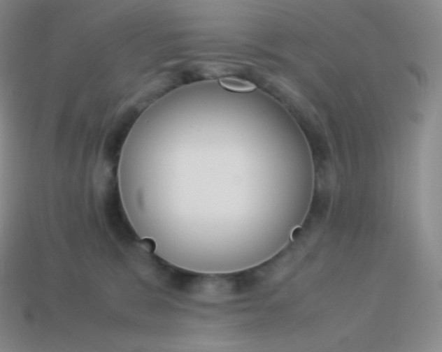 X0000113950327200910091614