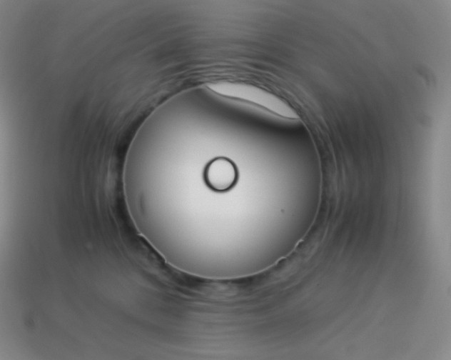 X0000113950328200910091614