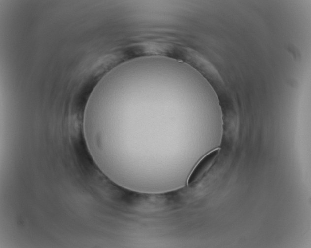 X0000113950329200910091614
