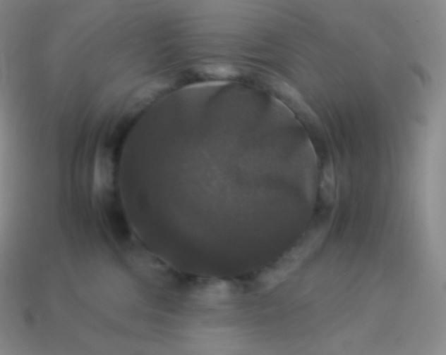 X0000113950330200910091614