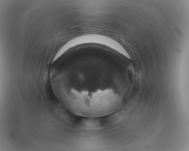 X0000113950331200910091614