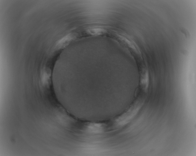 X0000113950332200910091614
