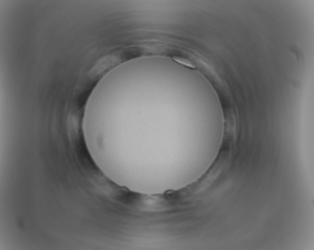 X0000113950333200910091614