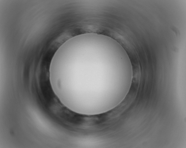 X0000113950334200910091614