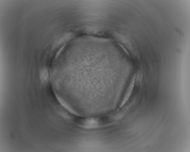 X0000113950335200910091614