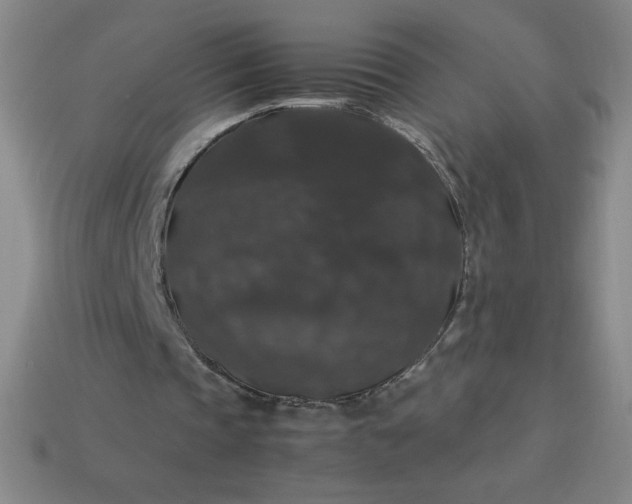 X0000113950337200910091613