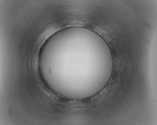 X0000113950338200910091613