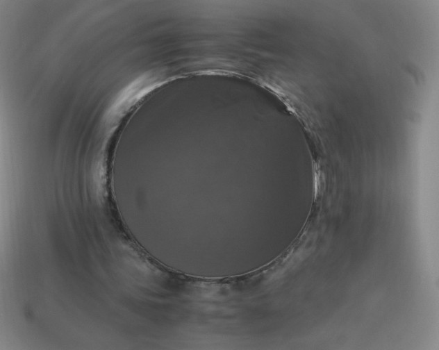 X0000113950339200910091613