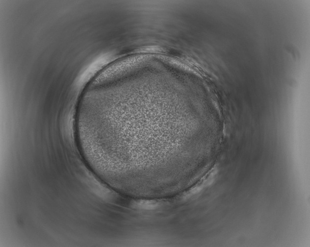 X0000113950341200910091613