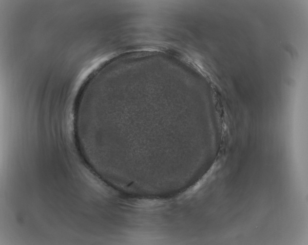 X0000113950342200910091613