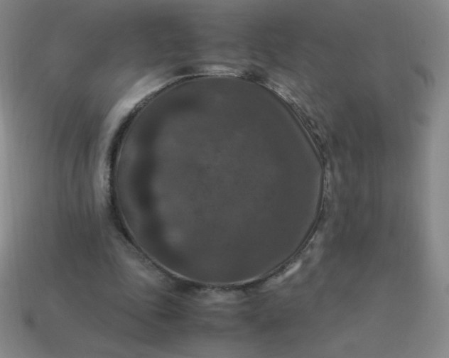 X0000113950343200910091613