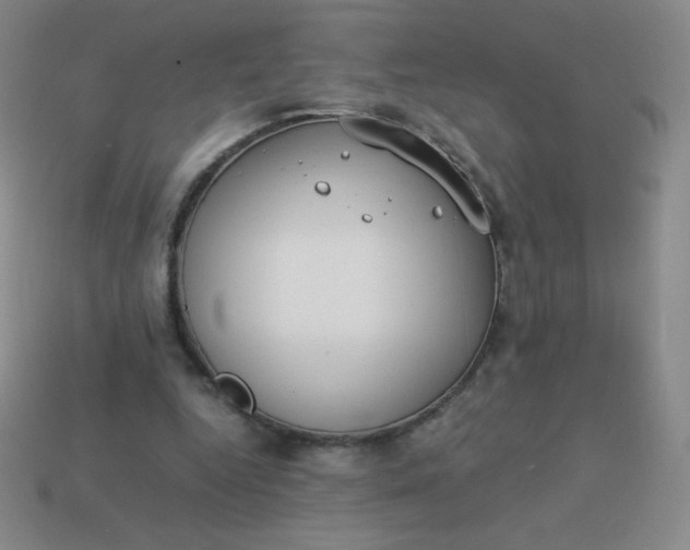 X0000113950344200910091613