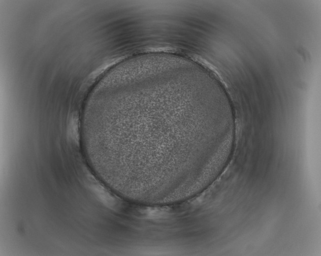 X0000113950345200910091613