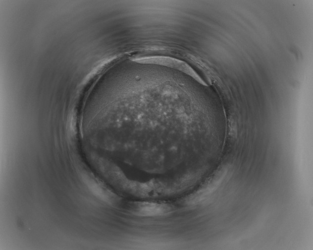 X0000113950347200910091613