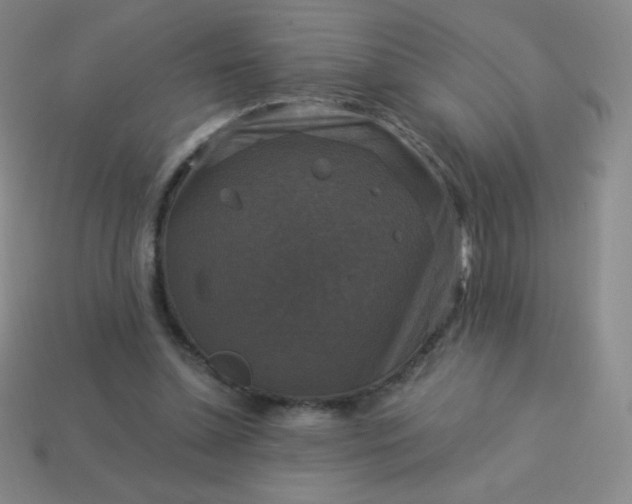 X0000113950348200910091613