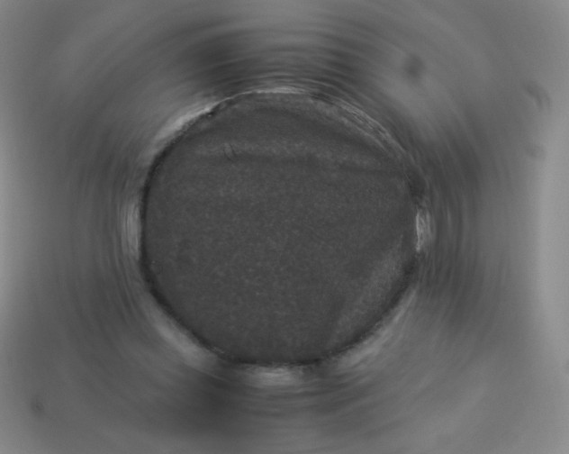 X0000113950349200910091613