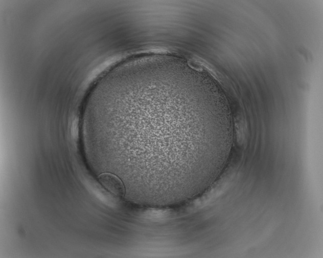 X0000113950350200910091613