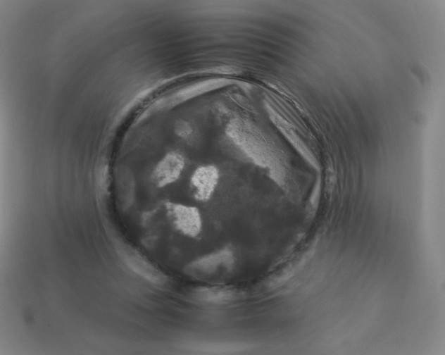 X0000113950351200910091613