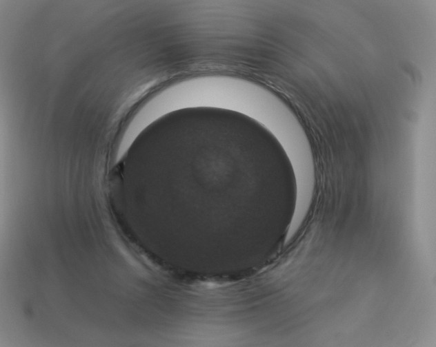 X0000113950352200910091613