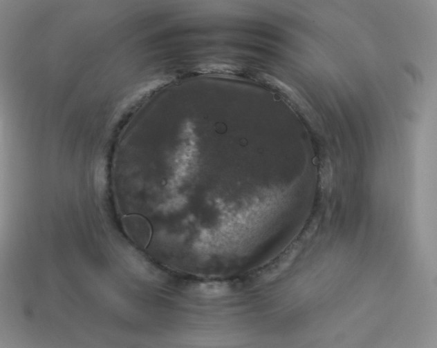 X0000113950353200910091613