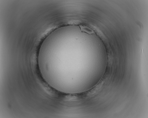 X0000113950354200910091613