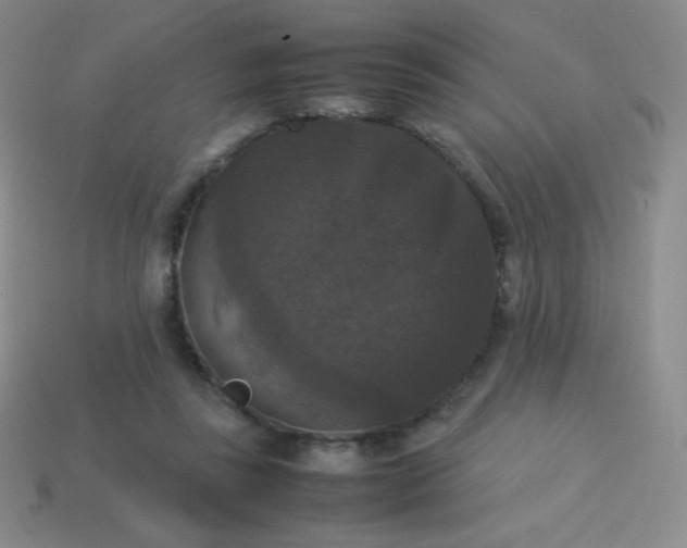 X0000113950355200910091613
