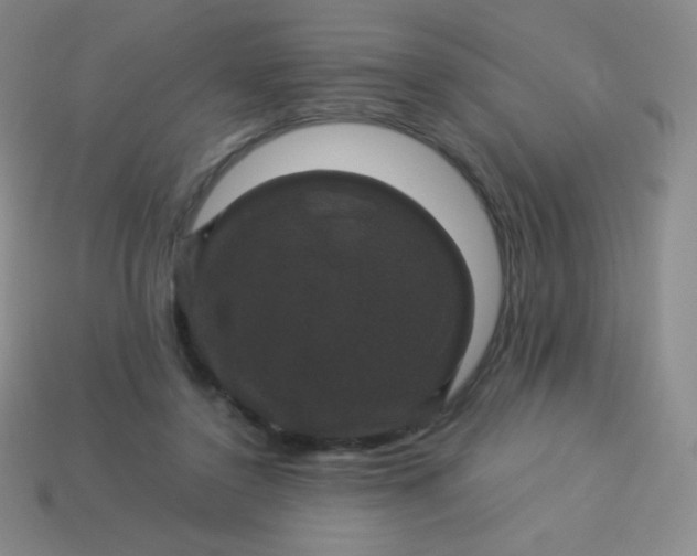 X0000113950356200910091613
