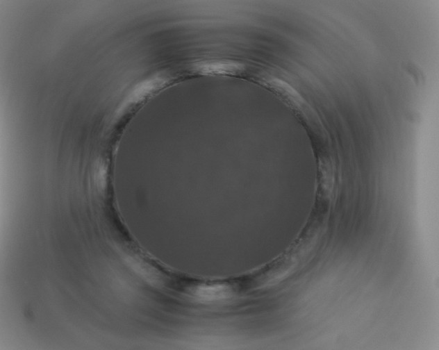 X0000113950357200910091613