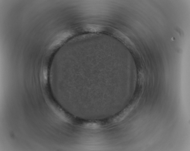 X0000113950358200910091613