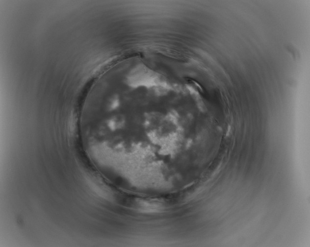 X0000113950359200910091613
